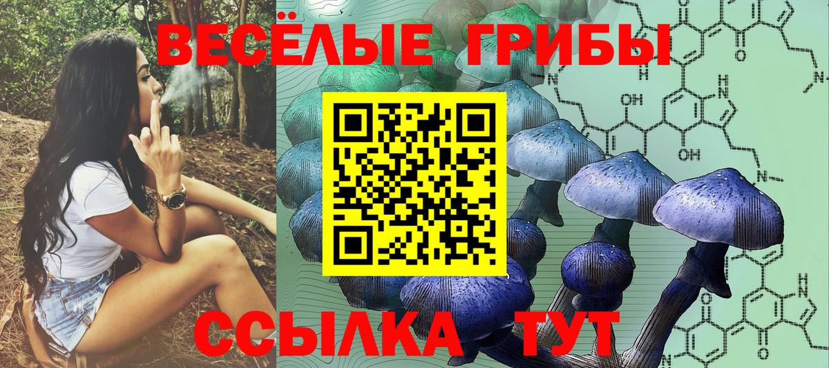 Кумертау  Галлюциногенные грибы Cubensis  Вход с VPN 