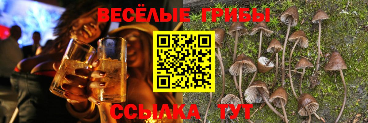 Галлюциногенные грибы Cubensis Кумертау